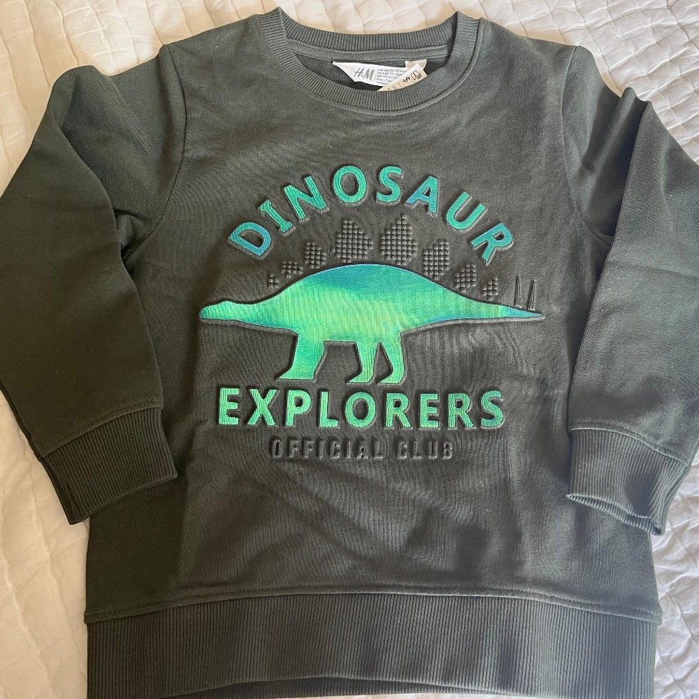 NEW! Never worn - Boys embossed dinosaur sweatshirt - size 4-6